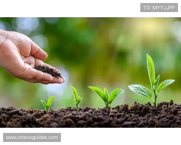 918博天棠真人积极响应国家号召，推动行业绿色可持续发展