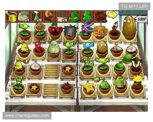 918网络游戏版本更新内容详解，了解最新变化抢先体验